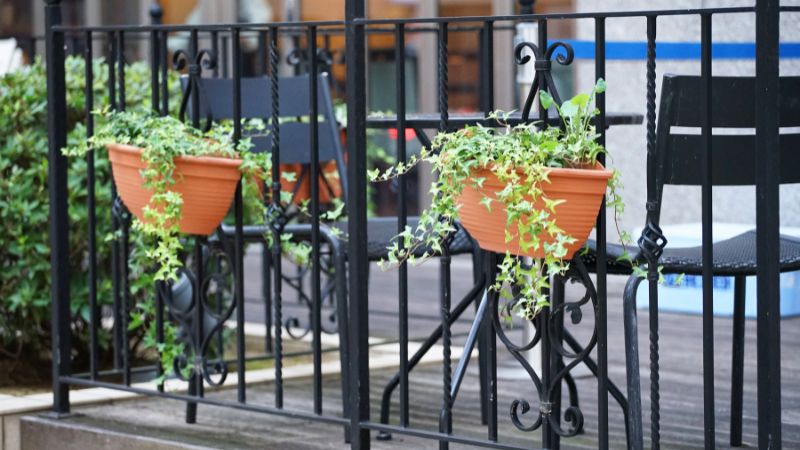 Decorative Fencing Ideas For Your Fencing Project